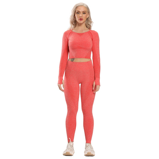 Seamless Yoga Set Workout Suit Fitness Sportswear Women Long Sleeve Crop Top Hig