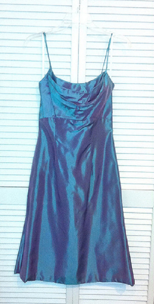 Watters & Watters Women Dress Taffeta Blue Lined Pink Midi Size 2